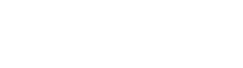 Cyber Valley